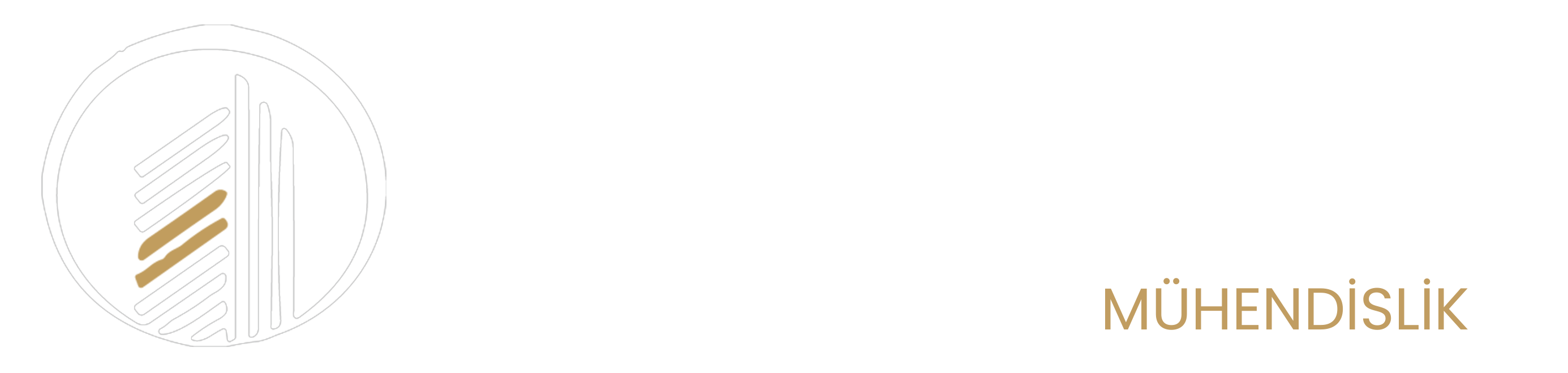 web_site_logo_white